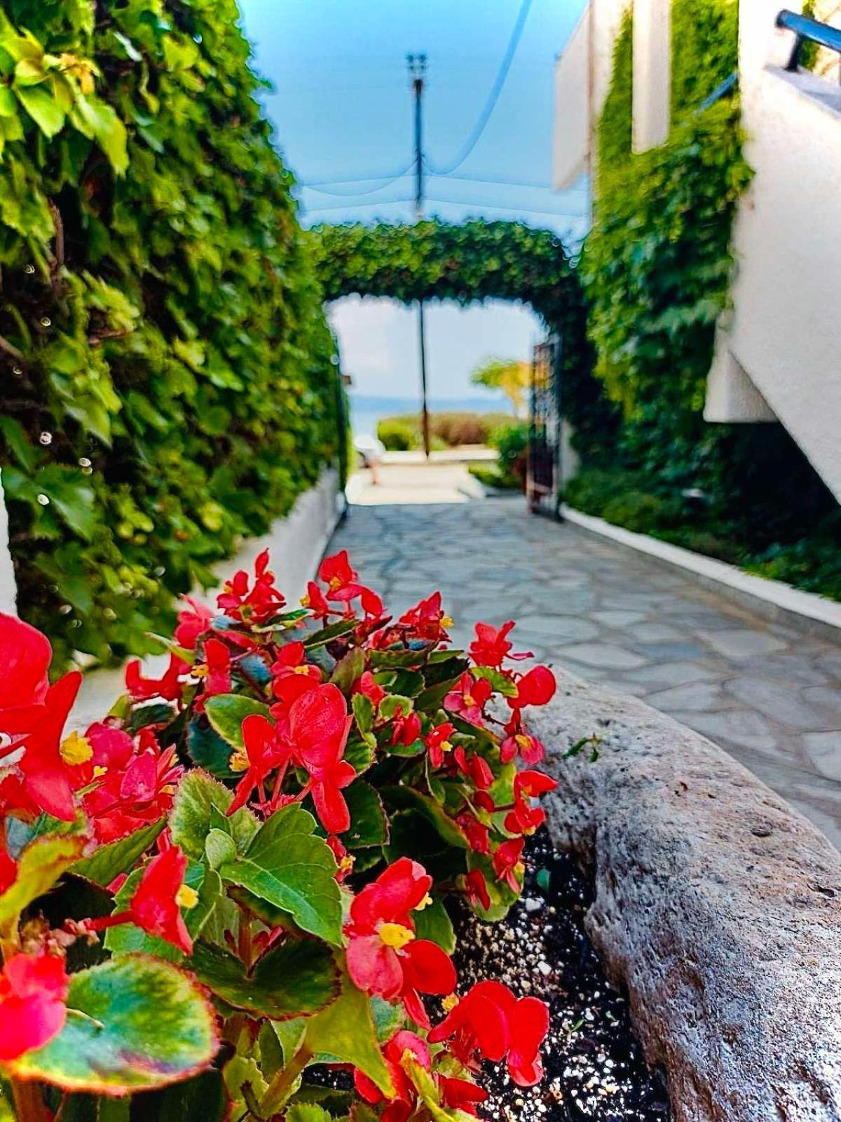 Argo Apartments Nea Poteidaia Exterior foto
